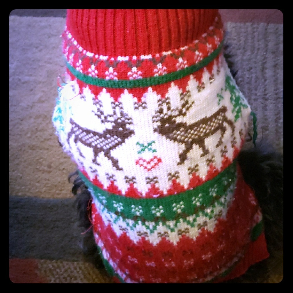 Dog Sweater